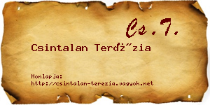 Csintalan Terézia névjegykártya